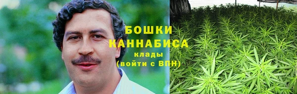 амфетамин Белокуриха
